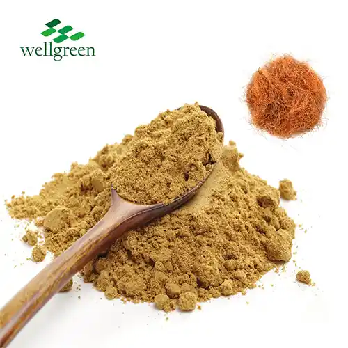 Corn Silk Extract Powder